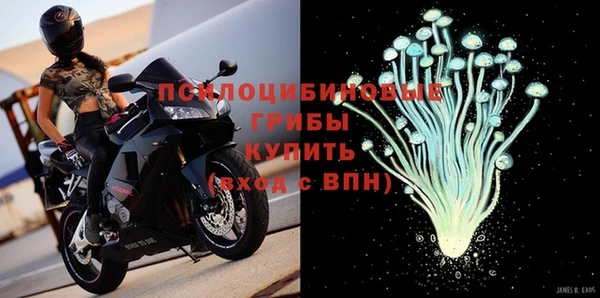 Альфа ПВП Лиски